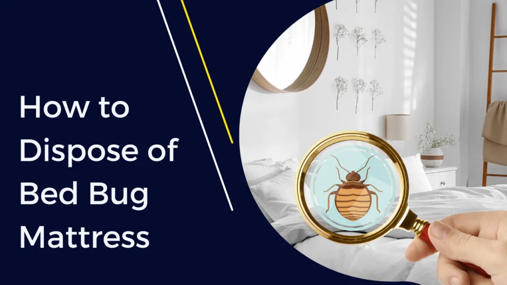 directly to the disposal site