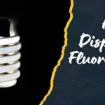 how to dispose of fluorescent bulbs