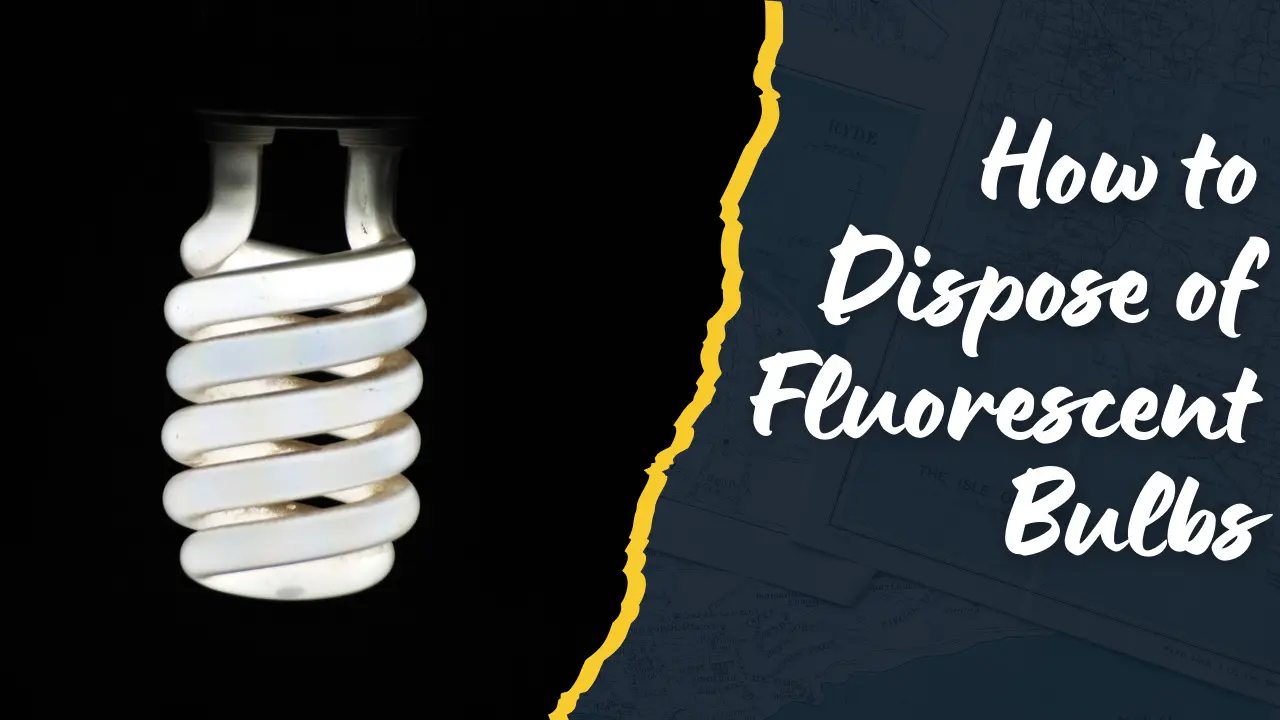 how to dispose of fluorescent bulbs