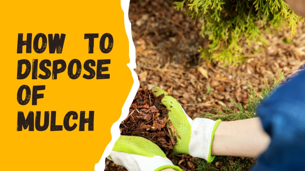 how to dispose of mulch